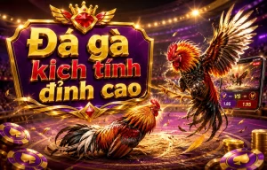 Sảnh đá gà leothefrenchie
